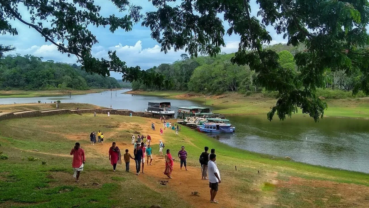 Munnar Thekkady Tour Package 