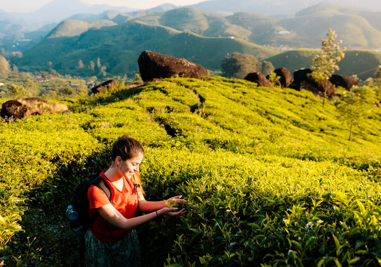 Munnar Tour Package